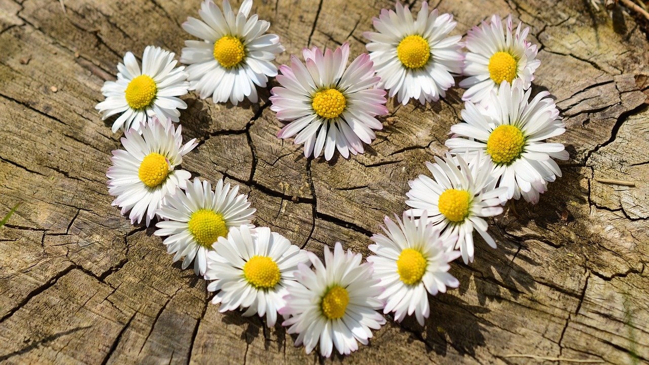 Потепление до +3 и сильный ветер ожидаются в Челябинской области