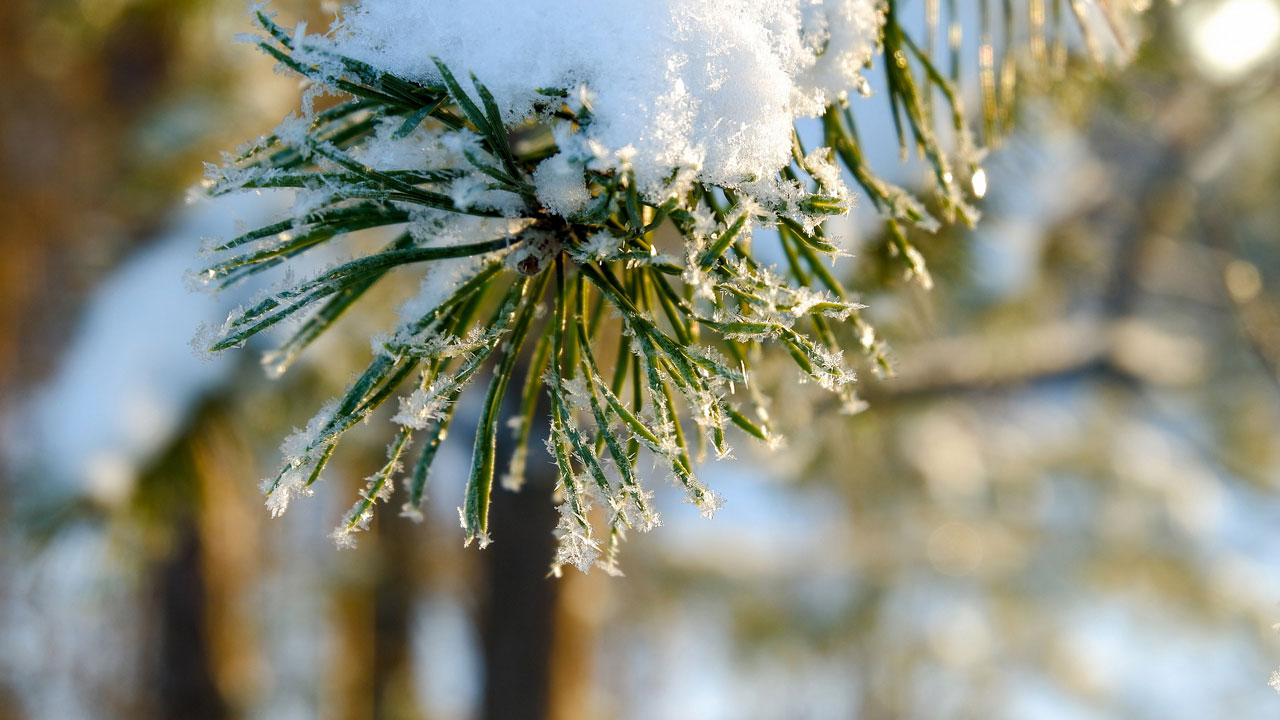 Холодный фронт накроет Челябинск: когда температура опустится до -18 °C