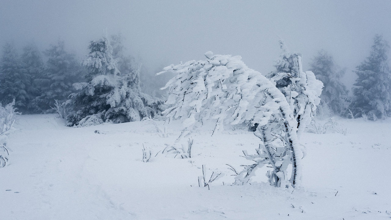 Холодный фронт накроет Челябинск: когда температура опустится до -18 °C