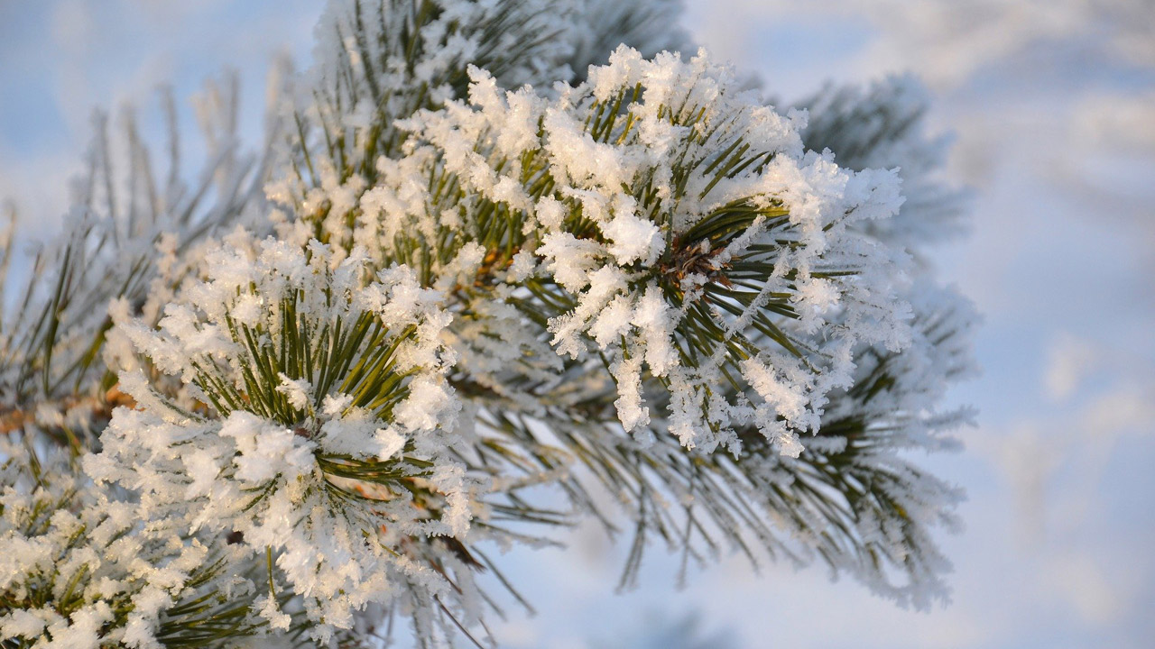 Метели и 30-градусные морозы прогнозируют в Челябинской области