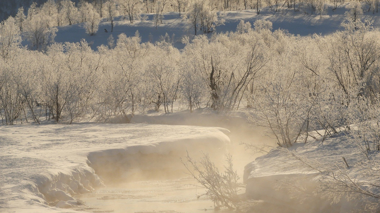 Жителей Челябинской области предупредили об изморози и снеге