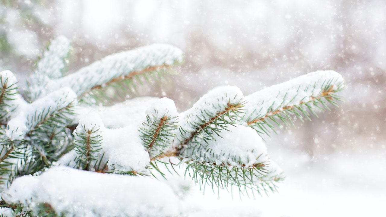 Метели, гололедица и ветер до 18 м/с ожидаются в Челябинской области