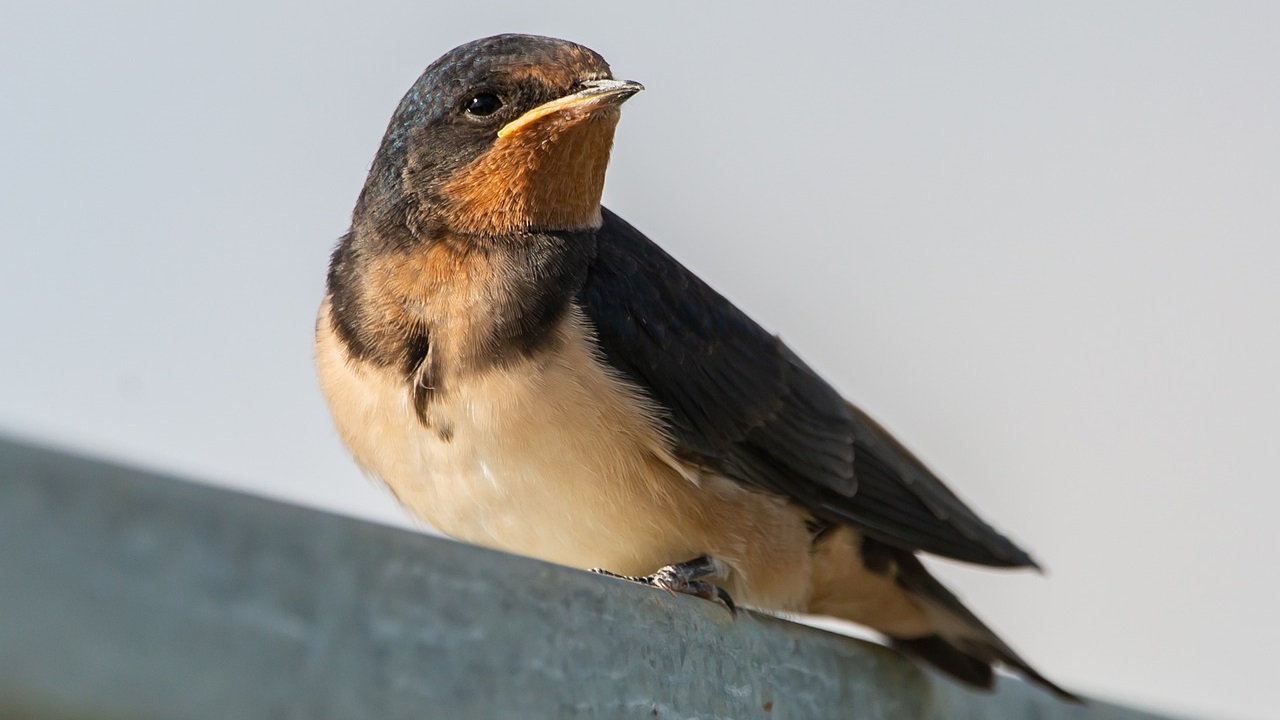 Приметы на 7 марта: что нельзя делать, чтобы весна беду не принесла