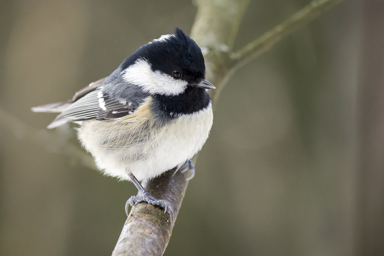 В Челябинской области ожидается температура на 14 градусов ниже климатической нормы 