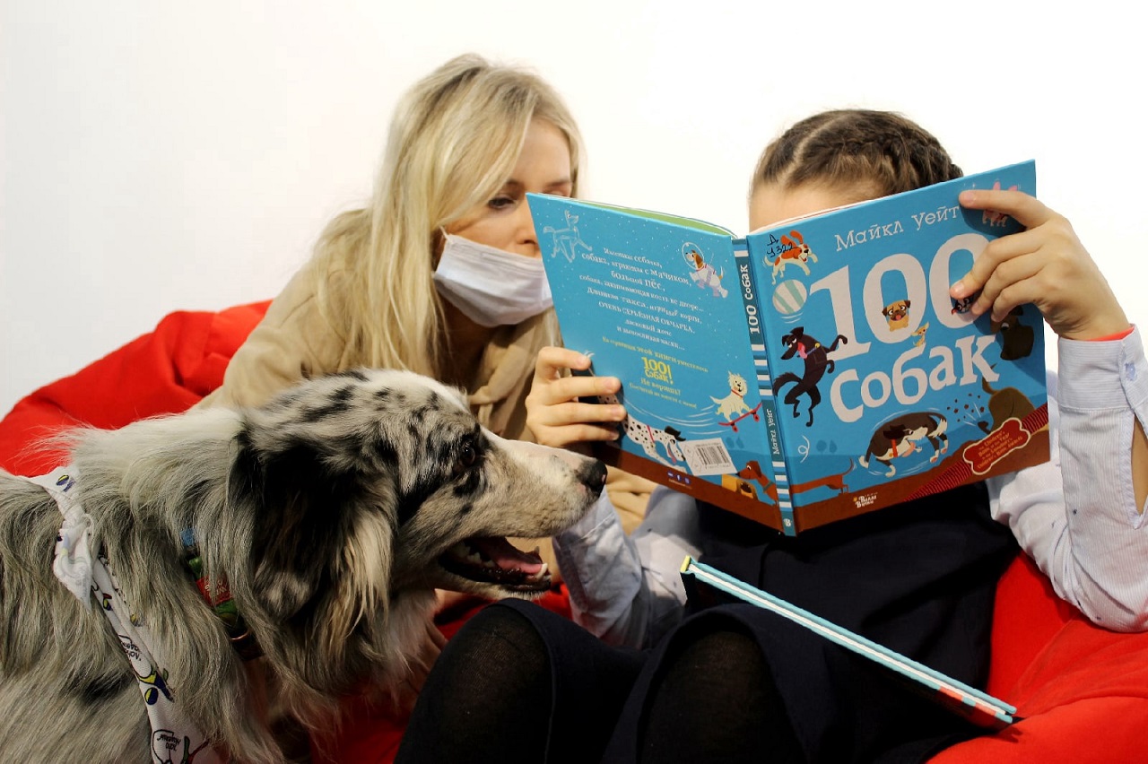 Как собаки лечат людей: в Челябинске открывается первый Центр зоотерапии
