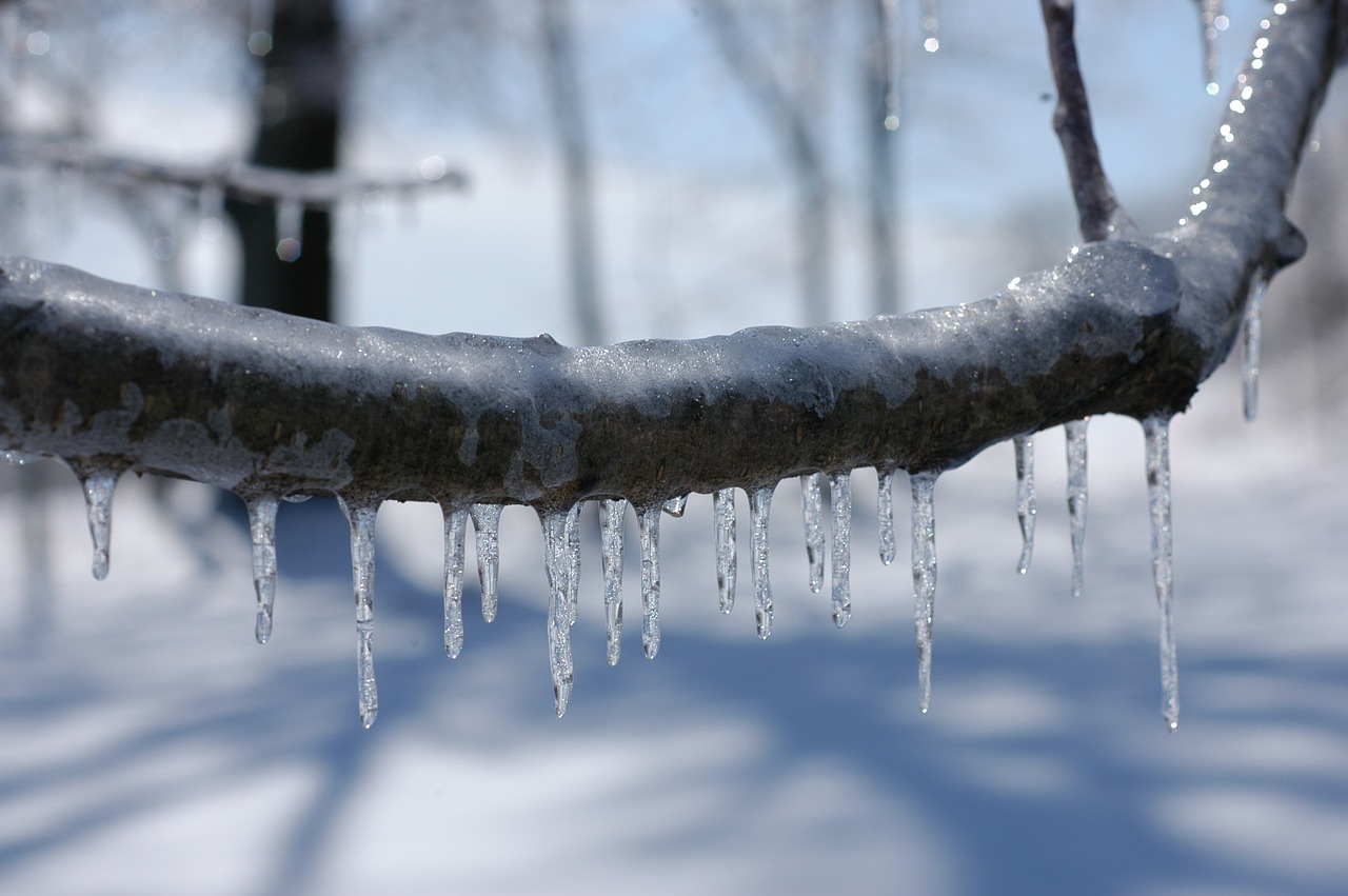 Экстренное предупреждение: на Челябинскую область надвигается снегопад