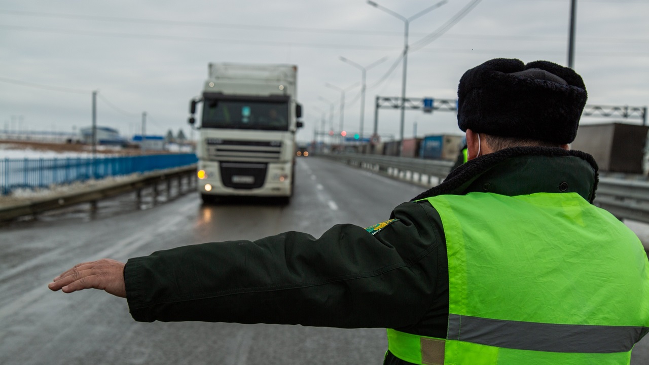Новые запреты: какие товары таможенники возвращают в Россию