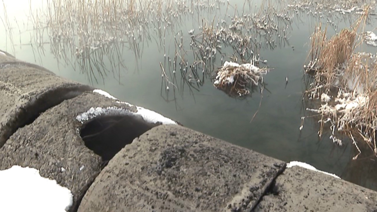 Росприроднадзор выяснил, откуда в озеро Смолино попадает канализация