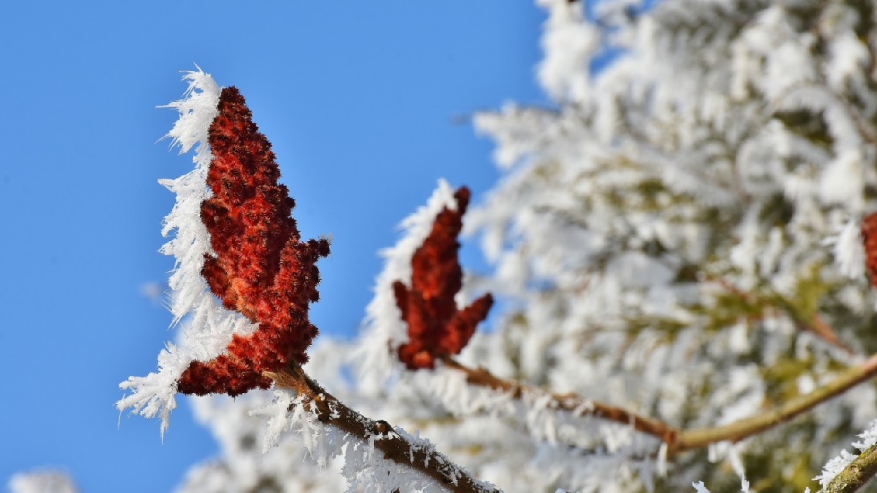 30-градусный мороз и высокое давление прогнозируют в Челябинской области