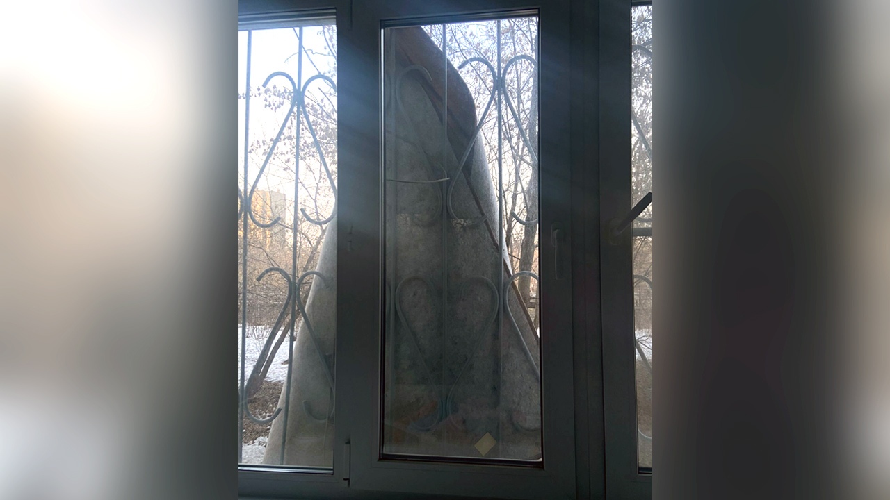 Летают не только птицы: из окон многоэтажки в Челябинске выбросили ковер
