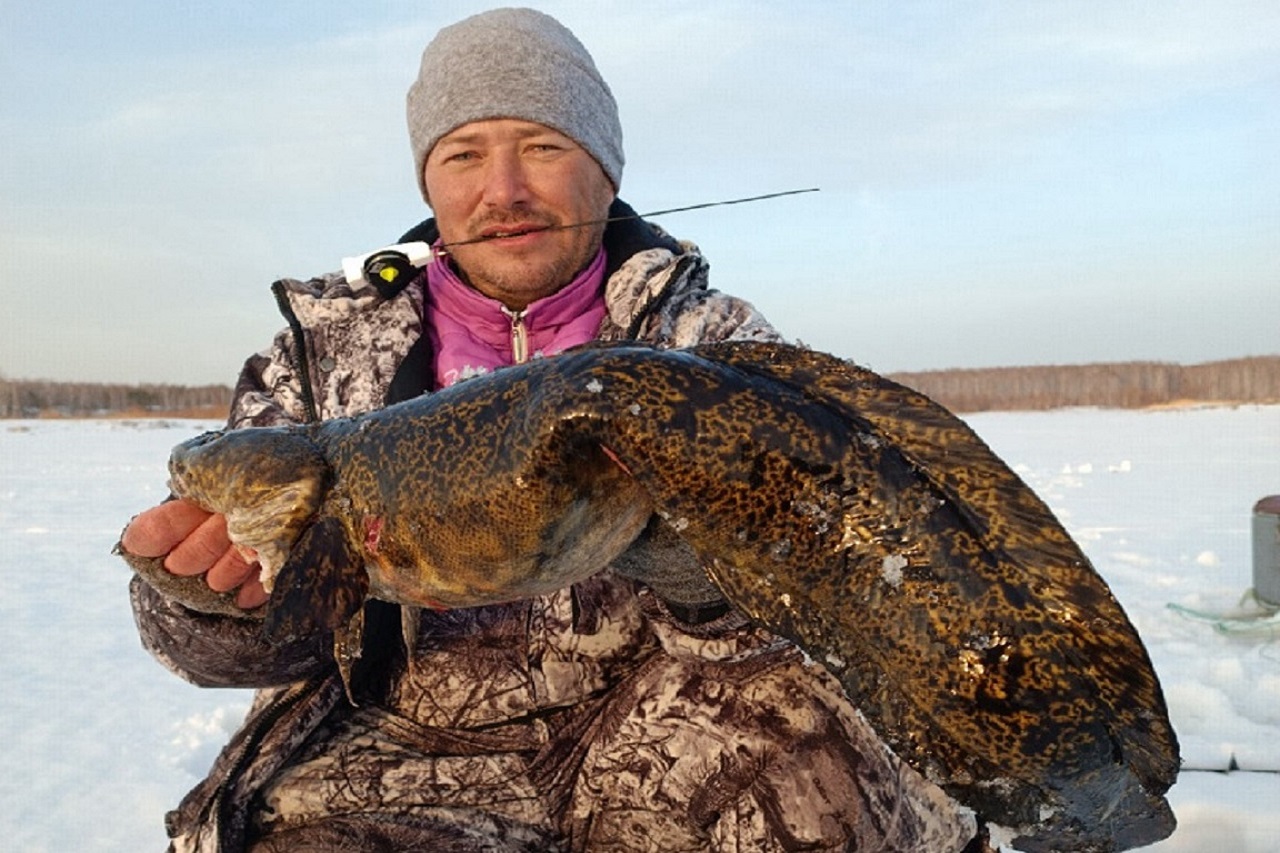 Клев как из пулемета: большую хищную рыбу выловили под Челябинском