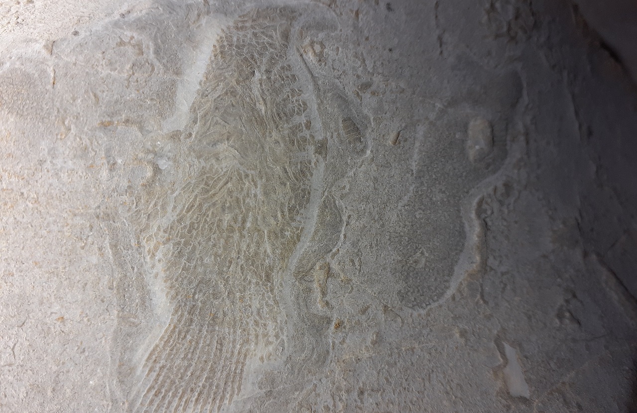 Снеговики из глины: туристы показали завораживающую красоту пещер Урала