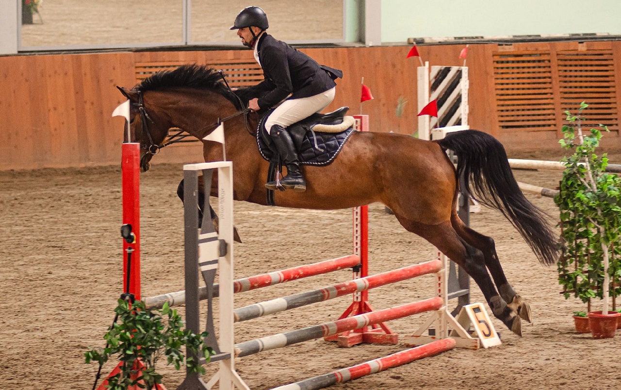 Челябинск станет образовательной площадкой для специалистов по конному спорту