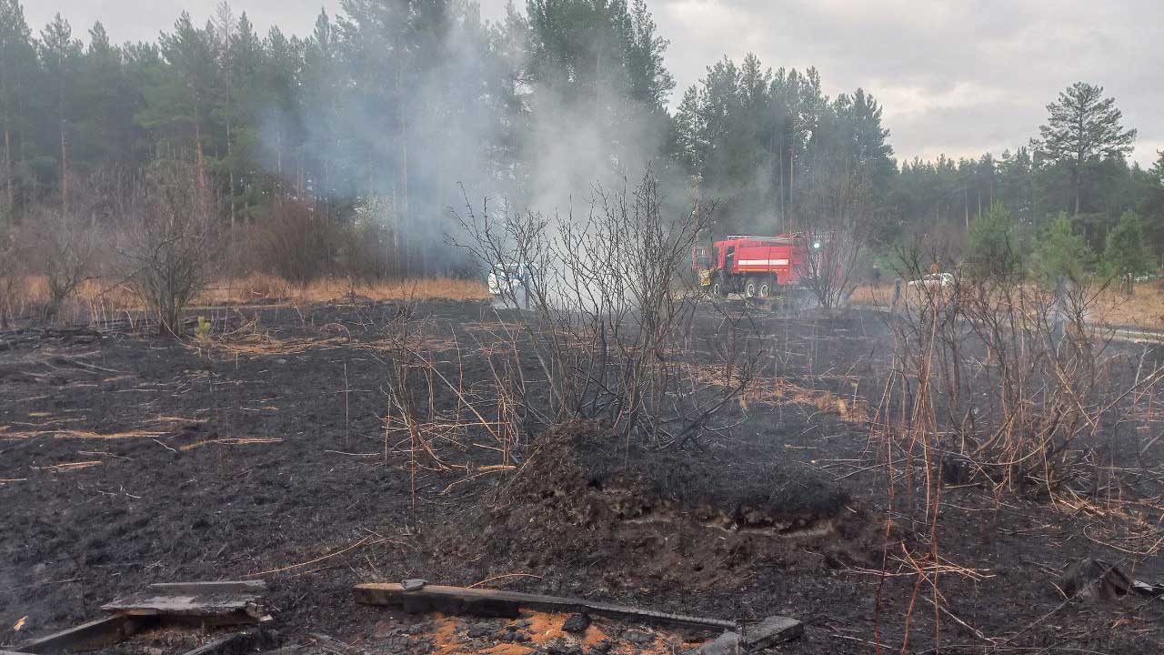 Пожар от травы едва не перекинулся на жилые дома в Челябинской области