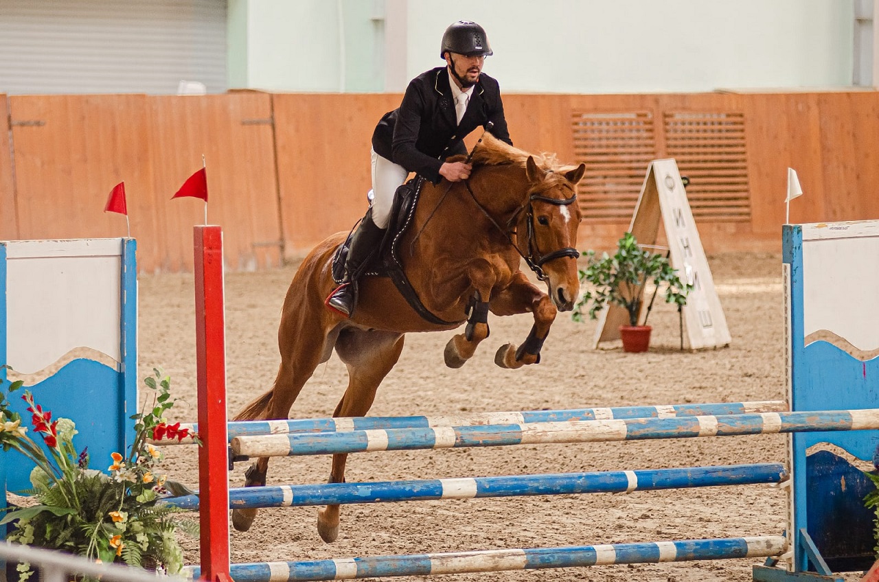 Челябинск станет образовательной площадкой для специалистов по конному спорту