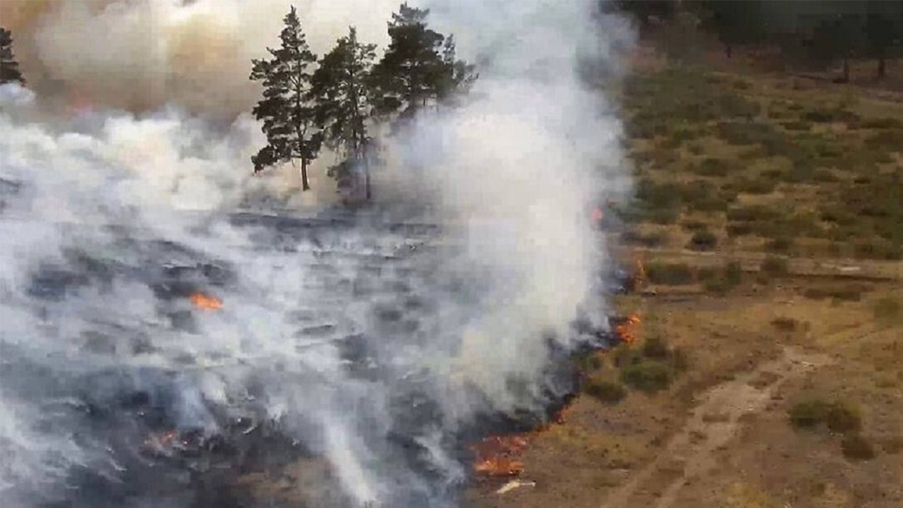 В лесах Челябинской области усилили охрану из-за введения пожароопасного режима