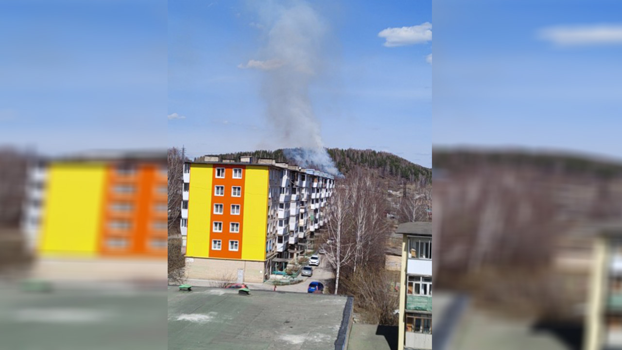 Огонь подходил к домам: в Челябинской области произошел лесной пожар у частного сектора