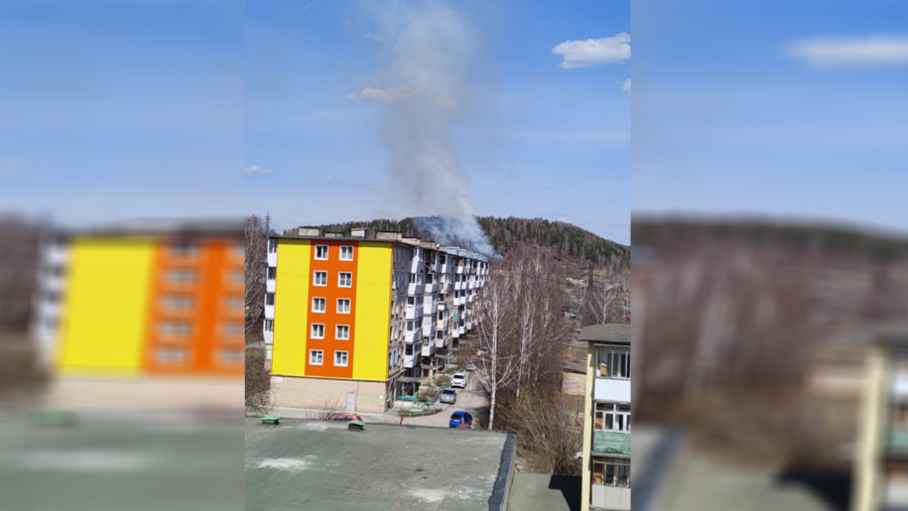 Огонь подходил к домам: в Челябинской области произошел лесной пожар у частного сектора Огонь подходил к домам: в Челябинской области произошел лесной пожар у частного сектора