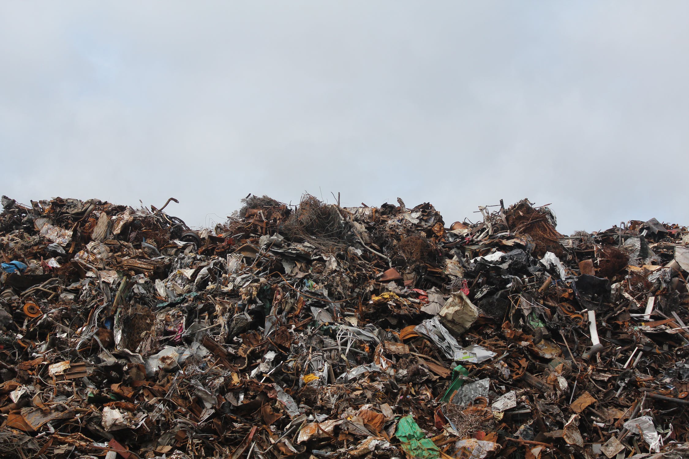 Свалка органических отходов рядом с дачами: в Челябинске обнаружили незаконный полигон