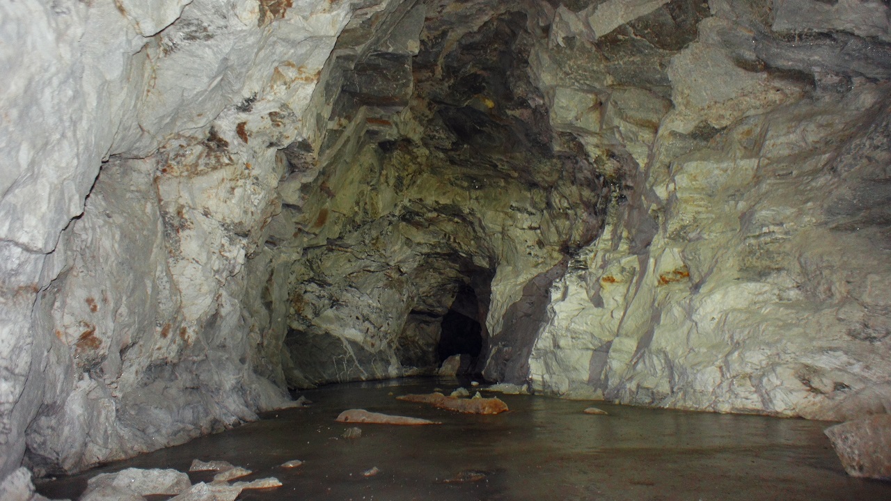 Колонию летучих мышей нашли на Южном Урале ФОТО