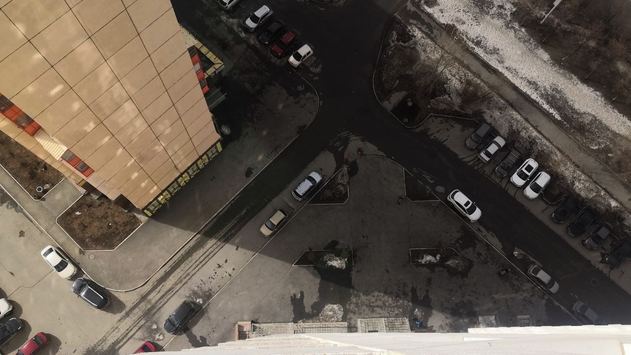 В Челябинске возбудили уголовное дело из-за жестокого убийства щенка