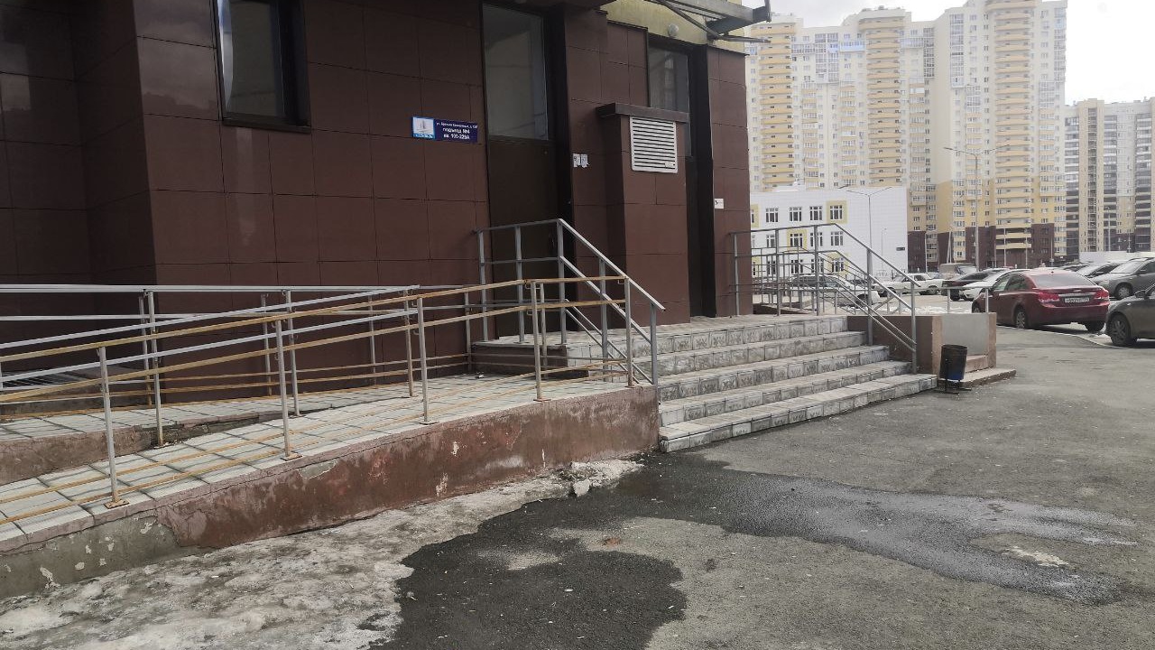 В Челябинске возбудили уголовное дело из-за жестокого убийства щенка