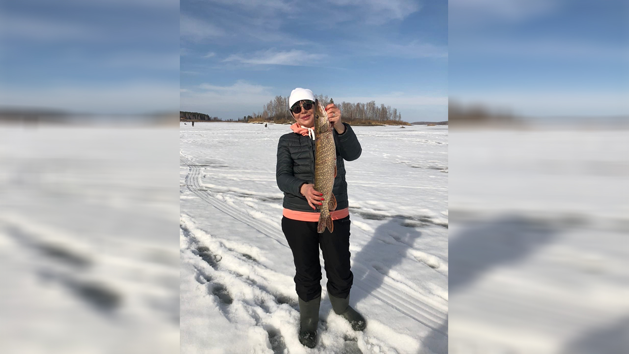 Огромную щуку поймали в Челябинской области