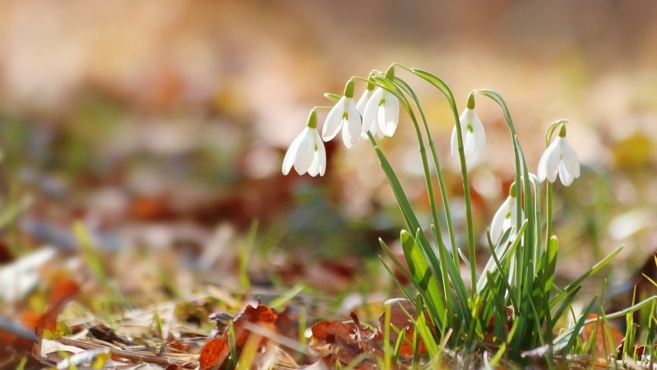 До +23 градусов: когда в Челябинскую область придет потепление
