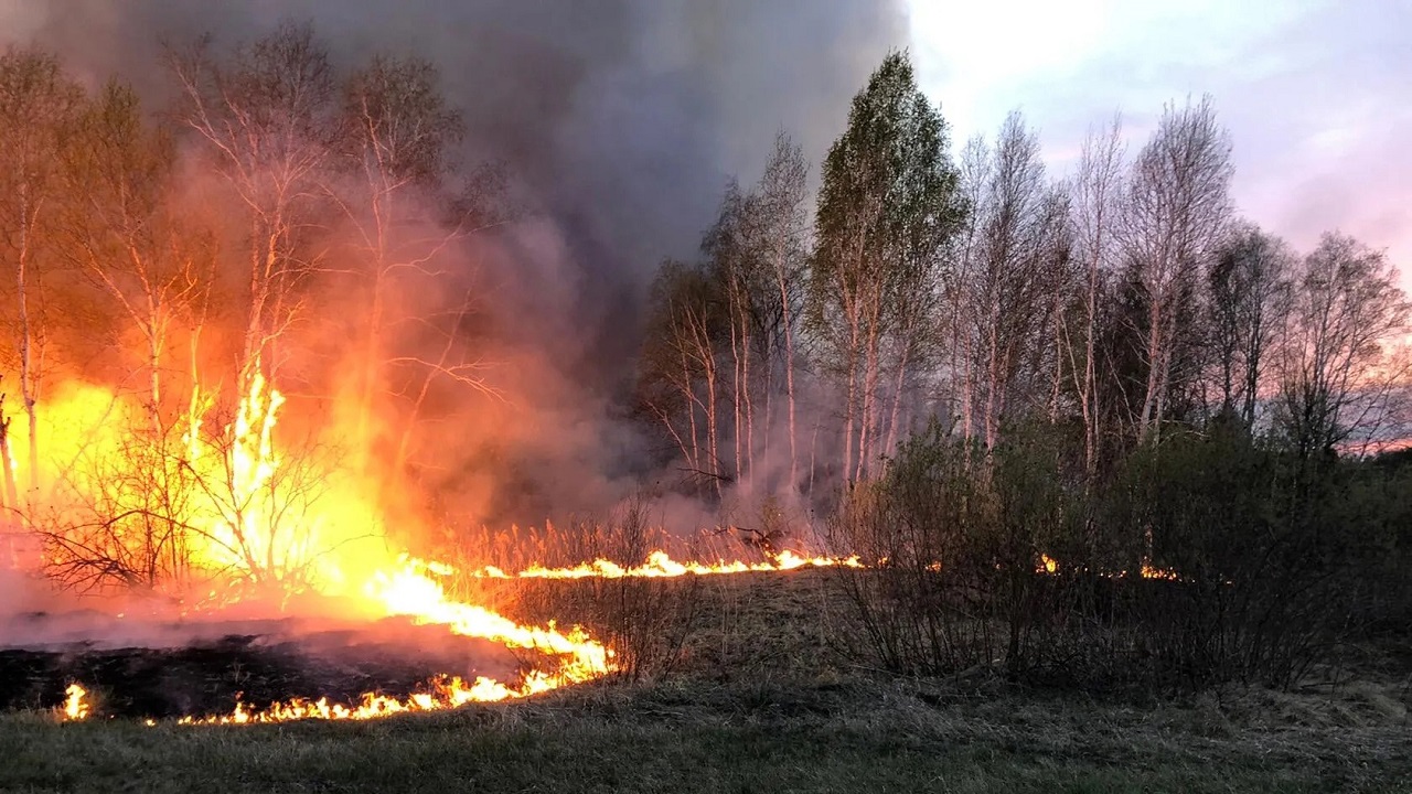 Огненное зарево: сильный природный пожар произошел в Челябинской области