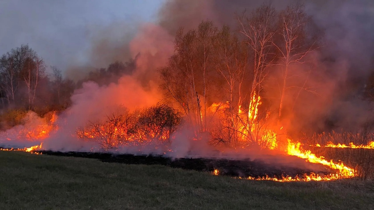Огненное зарево: сильный природный пожар произошел в Челябинской области