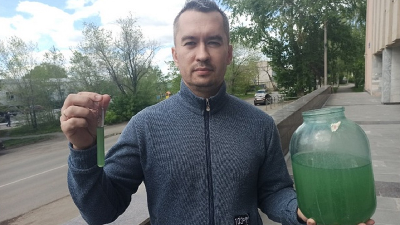 Ученые из Челябинска научились очищать воздух водорослями