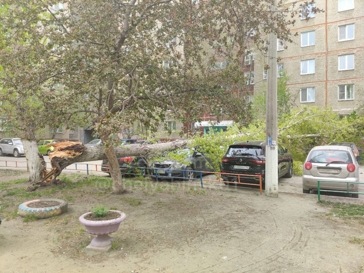 Дерево упало на автомобили во дворе дома в Челябинске