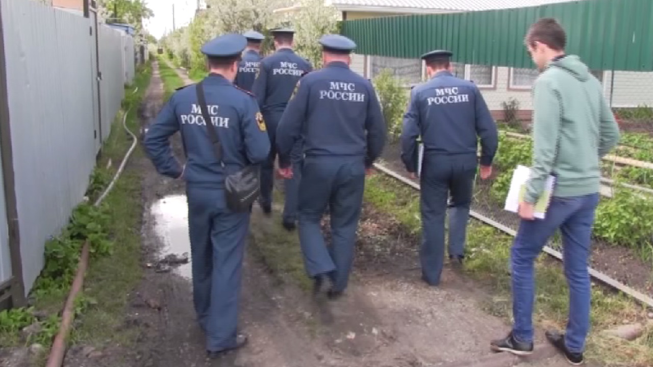 Лесные инспекторы провели более 2,5 тысячи рейдов на Южном Урале