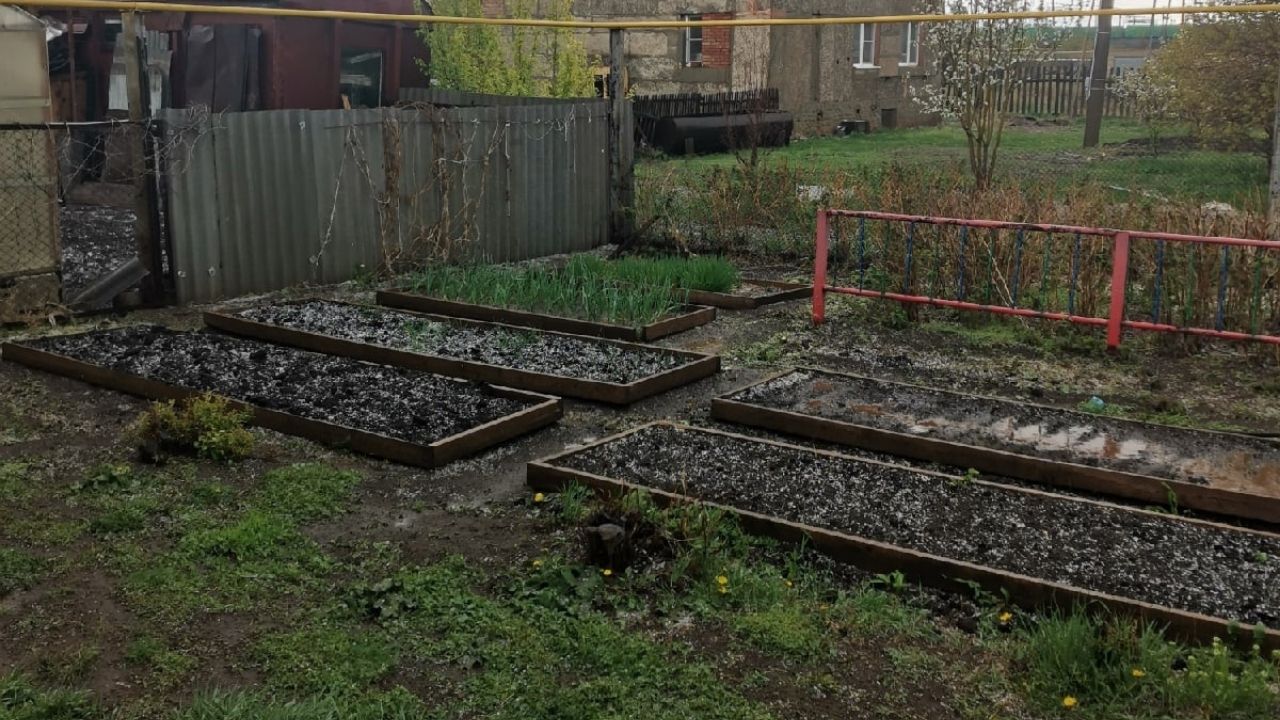 Вокруг рисовая каша: сильный град прошел в Челябинской области Вокруг рисовая каша: сильный град прошел в Челябинской области