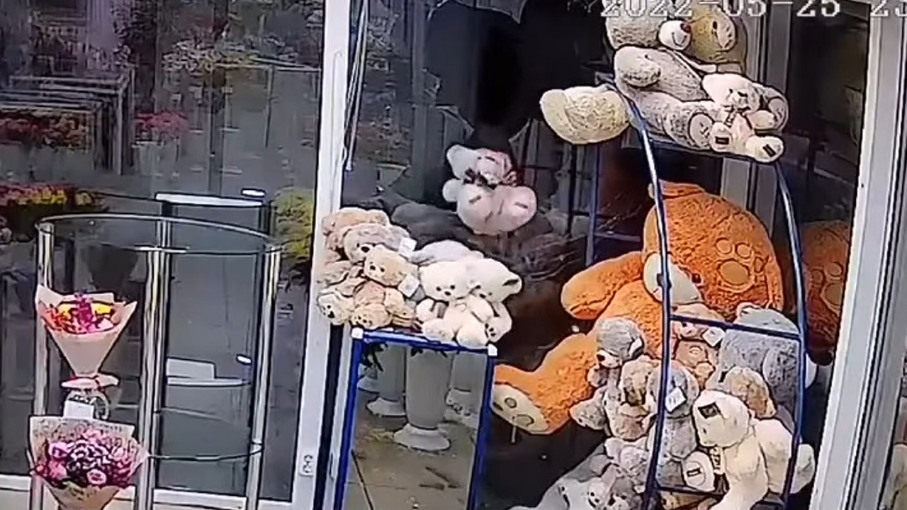 В Челябинской области задержали мужчину, который разбил окно в магазине и украл мягкие игрушки
