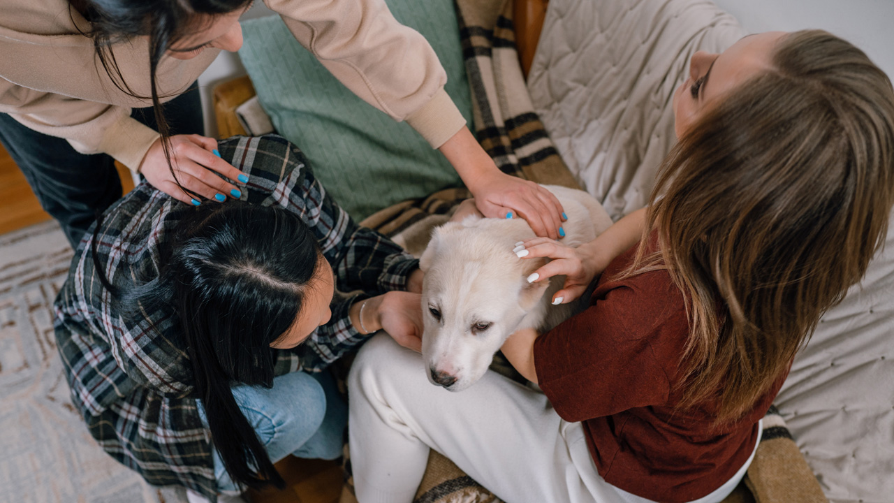 Как распознать эмпата: 10 важных признаков и темная сторона