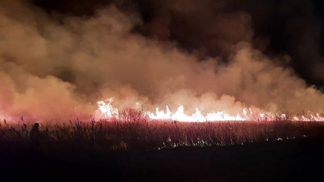 В Челябинской области произошел крупный пожар, который тушили всю ночь