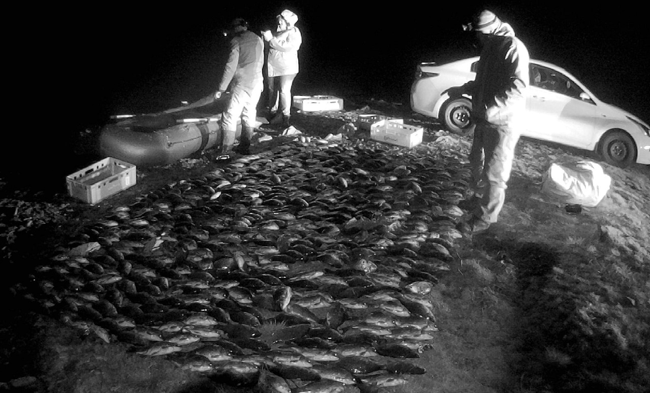 Целился в голову: на Урале браконьер с камнем напал на сотрудника рыбоохраны  