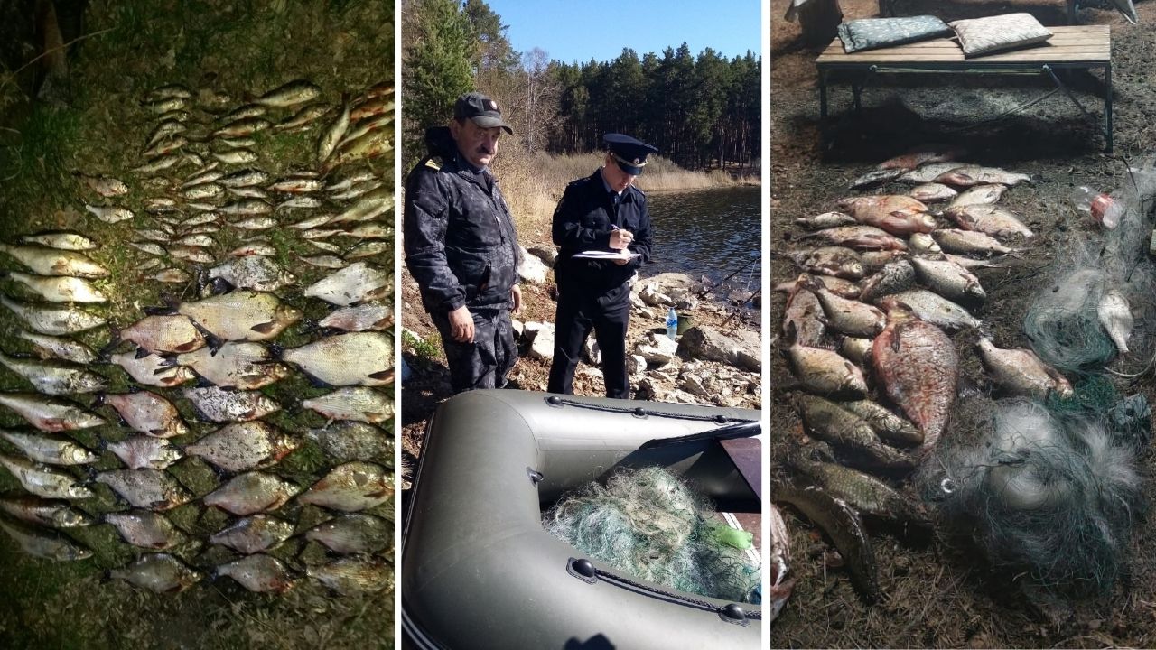 Целился в голову: на Урале браконьер с камнем напал на сотрудника рыбоохраны  
