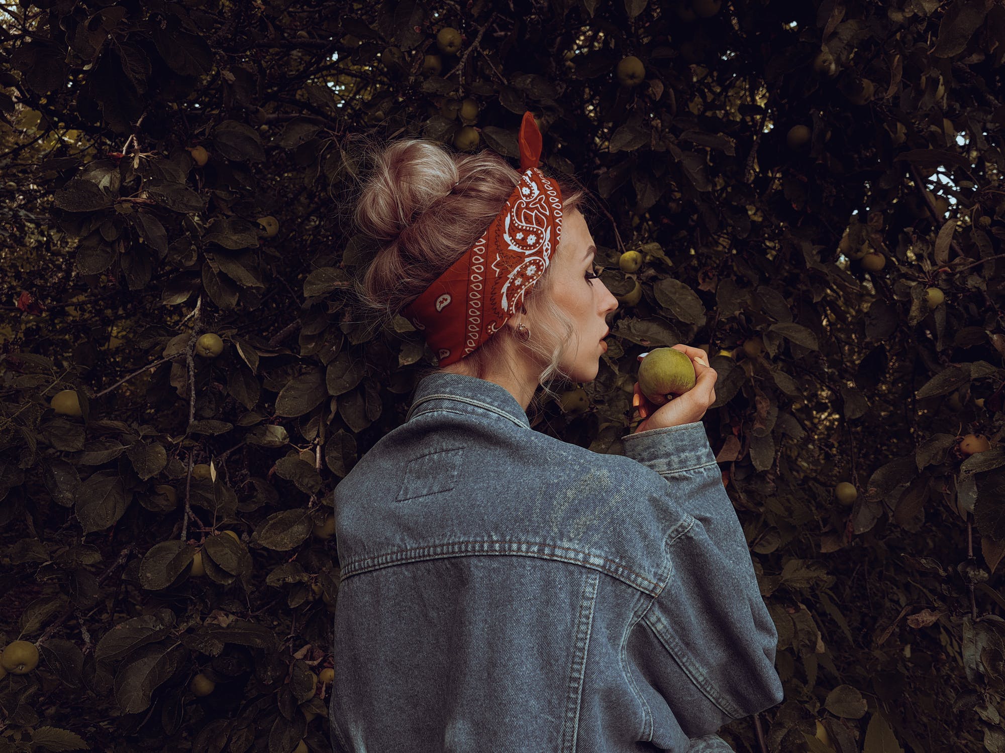 Приметы о яблоне: молодильные плоды и обряды на любовь 