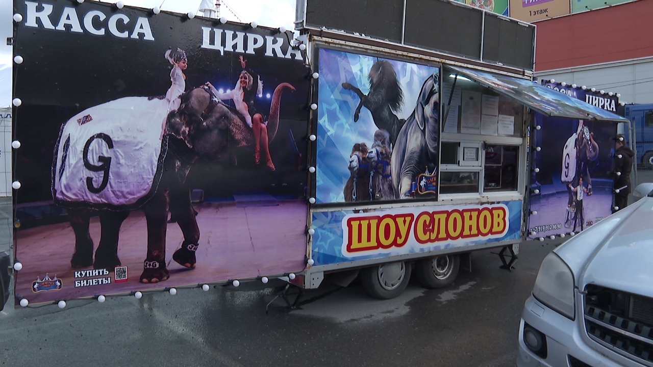 Скандал вокруг передвижного цирка вспыхнул в Челябинской области