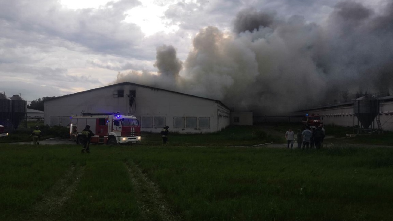 Крупный пожар на птицефабрике произошел в Челябинской области