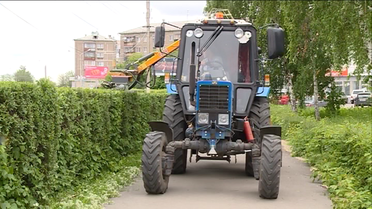 Красота и омоложение: обрезка деревьев началась в Магнитогорске
