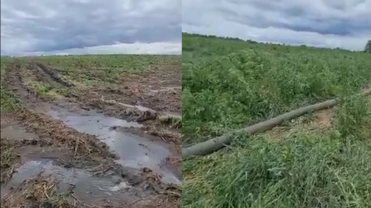 Жители Южного Урала жалуются на загрязнение крупного озера нечистотами