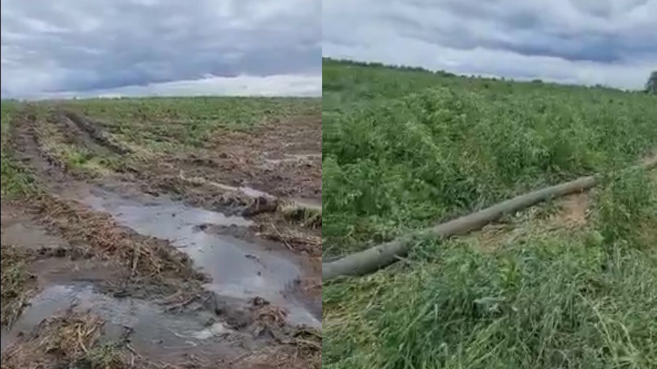 Жители Южного Урала жалуются на загрязнение крупного озера нечистотами Жители Южного Урала жалуются на загрязнение крупного озера нечистотами