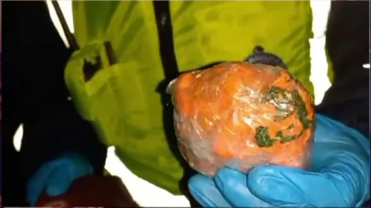 В Челябинске у пассажирки иномарки изъяли 50 граммов наркотика