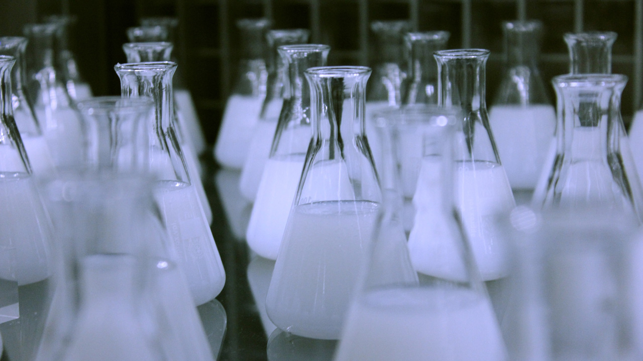 Ученые Челябинска разработали гранулы с наночастицами для очистки воды
