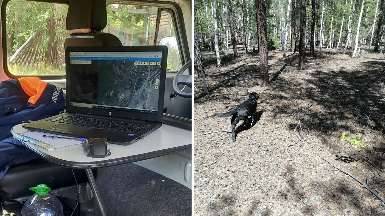 Поиски 83-летней пенсионерки завершили в Челябинской области