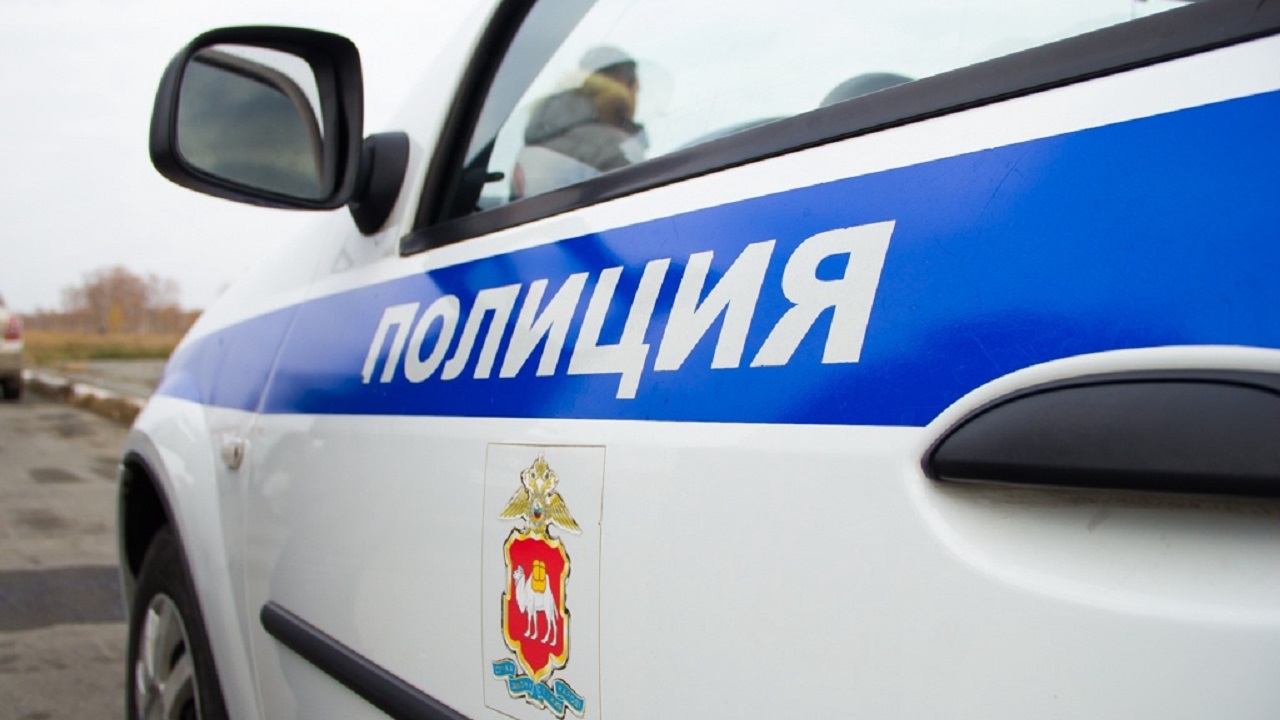 Защитникам леса в Челябинске напомнили об ответственности за участие в митингах Защитникам леса в Челябинске напомнили об ответственности за участие в митингах