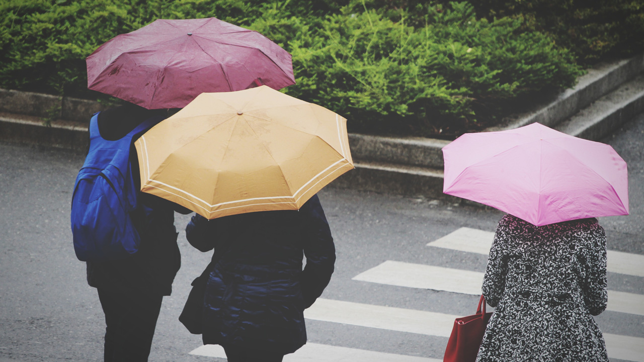 Ни дня без дождя: синоптики дали прогноз погоды в Челябинске